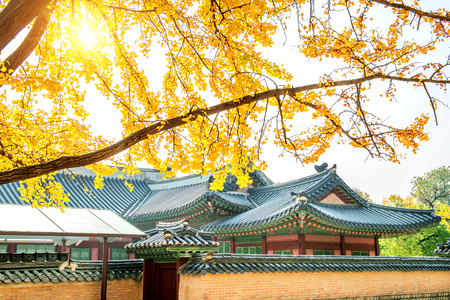 Gyeongbokgung palace in Seoul, South Koreaのeditorial素材