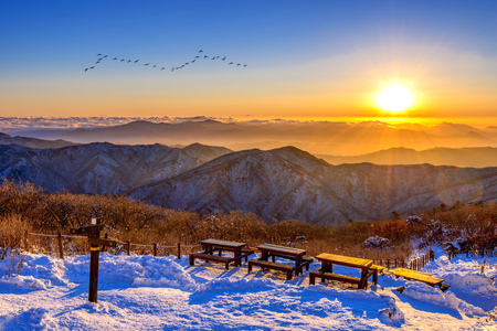 Sunrise with beautiful Lens Flare and silhouettes of birds at Deogyusan mountains in winter,South Korea.の写真素材
