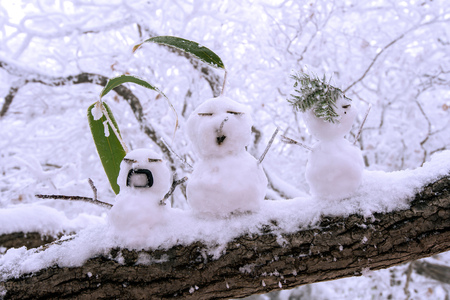 Snowmanの写真素材
