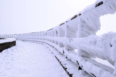 Fence is covered by snow and spruce pattern in winter.の写真素材