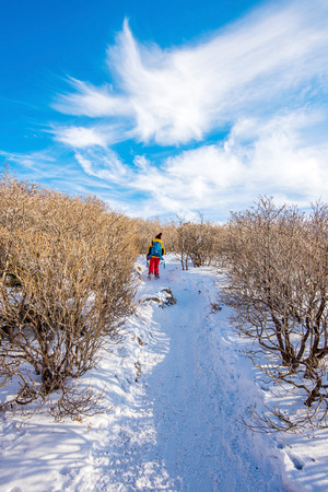 Woman walking on trail with snow in mountains.の写真素材