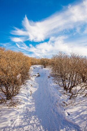 Deogyusan mountains in winter, South Korea.の写真素材