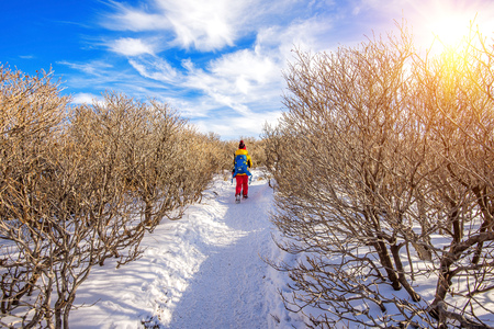 Woman walking on trail with snow in mountains.の写真素材