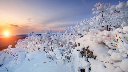 Sunrise on Deogyusan mountains covered with snow in winter,South Korea.の写真素材