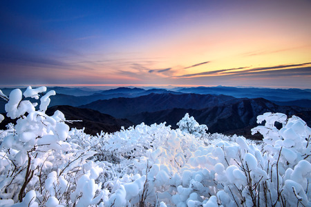 Sunrise on Deogyusan mountains covered with snow in winter,South Korea.の写真素材