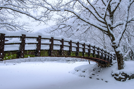 Snow falling in park and a walking bridge in winter, Winter landscape.の写真素材