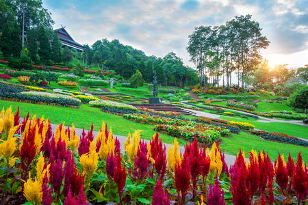 Garden flowers, Mae Fah Luang garden locate on Doi Tung in Chiang Rai,Thailand.のeditorial素材