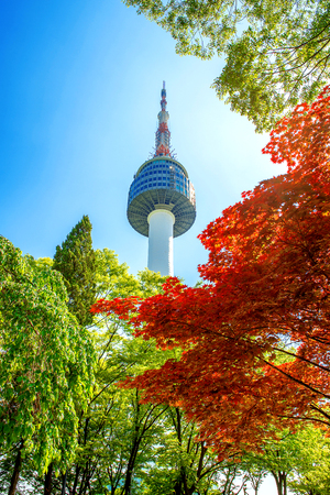 Seoul Tower and red autumn maple leaves at Namsan mountain in South Korea.のeditorial素材
