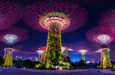 SINGAPORE - AUG 10 , 2017 : Super tree in Garden by the Bay, Singapore.