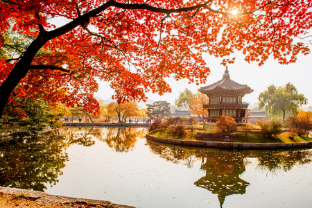 Autumn in Gyeongbokgung Palace, Seoul in South Korea.のeditorial素材