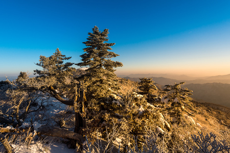 Deogyusan mountains at sunrise in winter, South Korea.の写真素材