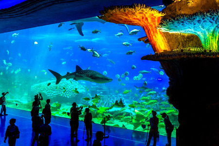 Zhuhai, Guangdong, China- NOV 9, 2017 : Tourist looking at fish in huge Aquarium at the Zhuhai Chimelong Ocean Kingdom Park in Zhuhai, China.のeditorial素材