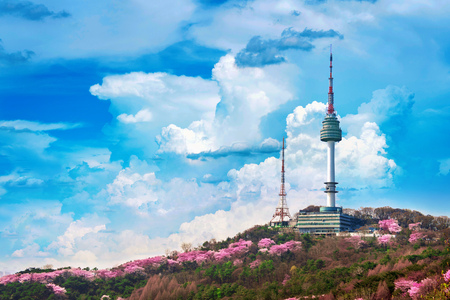 Cherry blossom in spring and seoul tower at namsan mountains, Seoul in South Korea.の写真素材