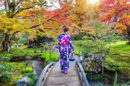 Asian woman wearing japanese traditional kimono in autumn park. Kyoto in Japan.の写真素材