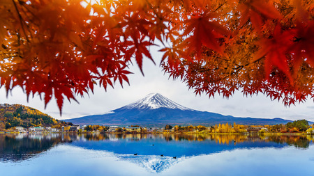 Autumn Season and Fuji mountain at Kawaguchiko lake, Japan.の写真素材