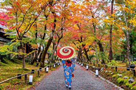 Asian woman wearing japanese traditional kimono walking in autumn park.の写真素材