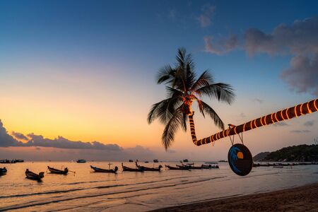 Beautiful coconut trees and sunset on the beach, Koh Tao island in Thailand.の写真素材