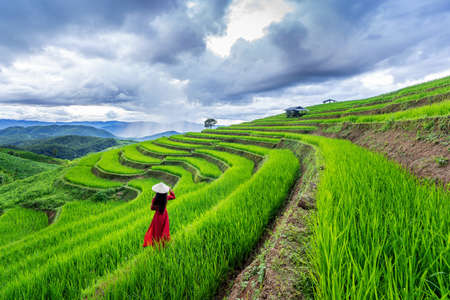Asian woman wearing Vietnam culture traditional at rice terrace of Ban pa bong piang in Chiangmai, Thailand.の写真素材