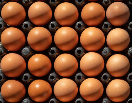 Close up of chicken eggs in egg panel.の写真素材