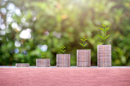 Plants on coin stacks in increase. Money growth and pension fund concept.の写真素材
