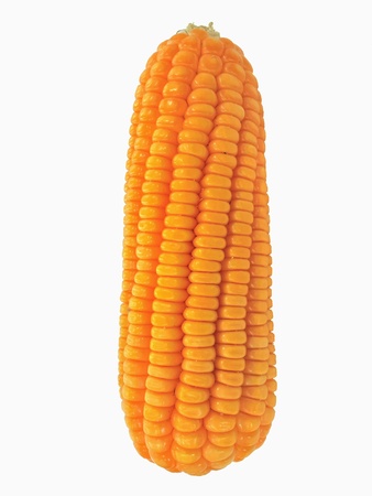 Cornの素材