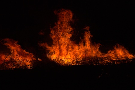 Twigs burning at park in thailand disaster in bush forest with fire spreading in dry woods.の写真素材