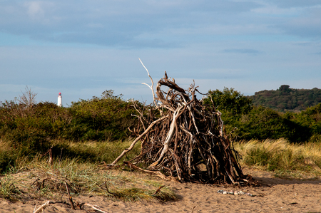 beach signの写真素材
