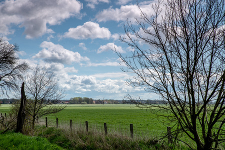 The nature reserveの写真素材