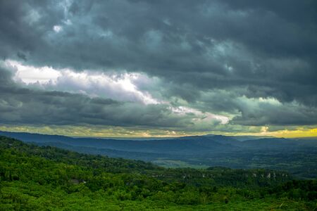 the beauty of nature when cloudy.の写真素材