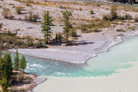 The confluence of two rivers - Koksu River and Argut River, Kosh-Agachsky District, Altai Republic, Siberia, Russiaの写真素材