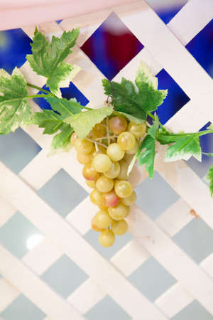 Grapesの写真素材