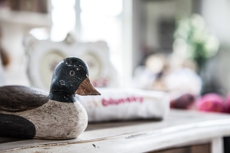 wood duck on the wood tableの写真素材