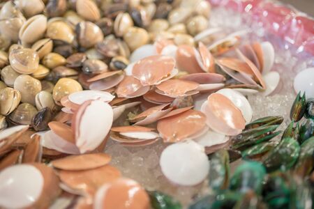 Raw queen scallops  - selective focusの写真素材