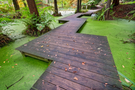 Beautiful wood bridge over small Pondの写真素材