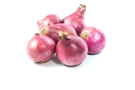 Red  onion isolated on white backgroundの写真素材