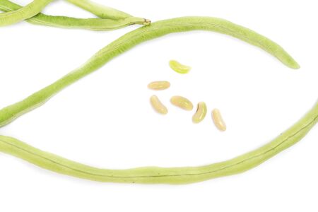 fresh long beans,cow-peas,yardlong bean on a white background. (Vigna unguiculata subsp, sesquipedalis)の写真素材