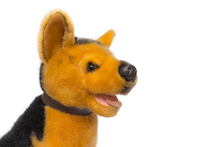 doll dog on white backgroundの写真素材