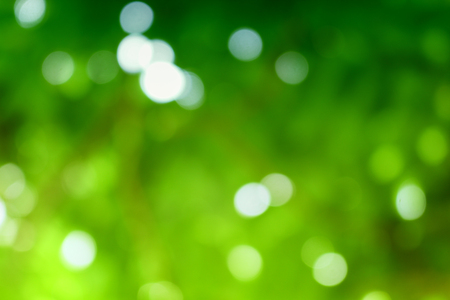 Bokeh color tone moss, Abstract natural  background. Natural Bokeh Fresh green moss with blurred bright summer sunlight : You may be use as background :の写真素材