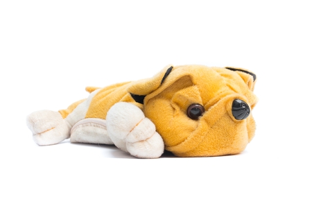 plush toy dog yellow on white background,Dog Plush toy for children.(select focus front toy dog)の写真素材