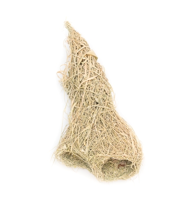 bird nest Baya weaver, skylark nests on white background.(select focus front skylark nests )の写真素材
