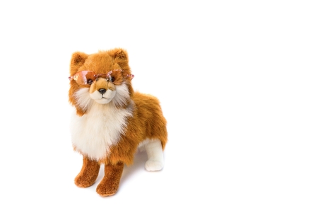 doll dog  wearing  glasses beautiful  on white backgroundの写真素材