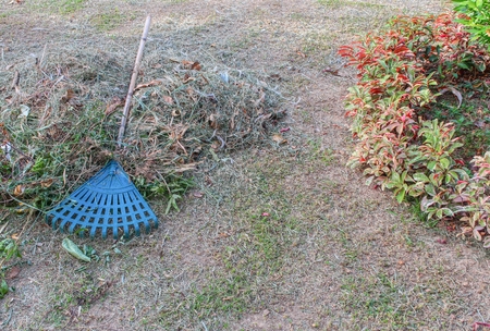Broom leave. Plastic broom in a garden , Broom on a haystack .の写真素材