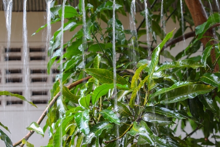 Blur blurred, Motion drop of water rain from roof at night, bokeh water reflex light . soft focus water background :with copy space Ideal use for background:の写真素材