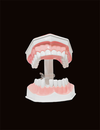 model of teeth dental and broken isolated clipping path on black background