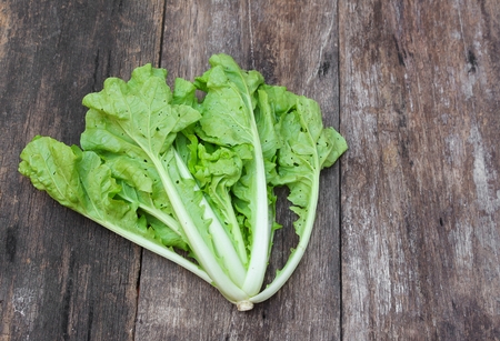 chinese cabbage organic vegetables on a wooden table. Insect eat hole in the leaf. Select focus front chinese cabbage, with copy space.の写真素材