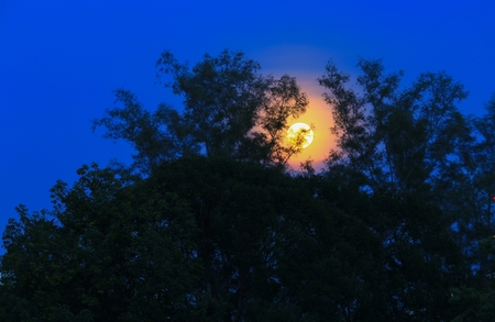 Full moon beautiful over dark  sky at have  tree shadow in nightの写真素材
