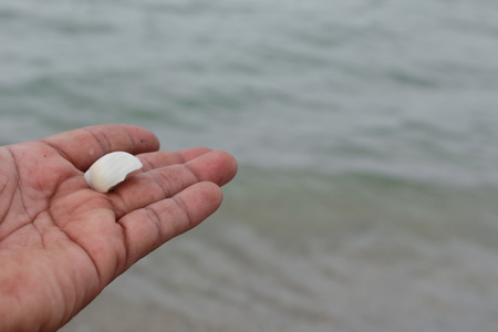 hermit crab Select focus (Diogenes, pagurian, soldier crab) on handの写真素材