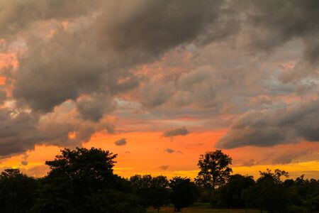 Sunset with silhouette tree in woodland and sky colorful beautiful evening on nature