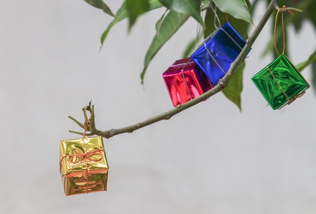 gift  on tree in Christmas day and  happy new yearの写真素材