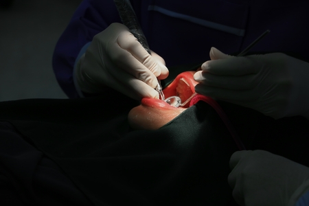 dentist in dental patient medical